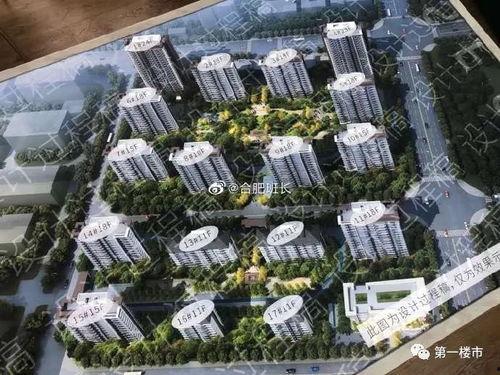 肥西楼市最新爆料信息,揭秘最新爆料信息，房价走势及热门楼盘盘点