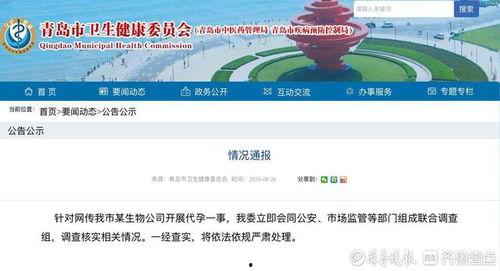 青岛爆料最新新闻,聚焦城市热点事件追踪