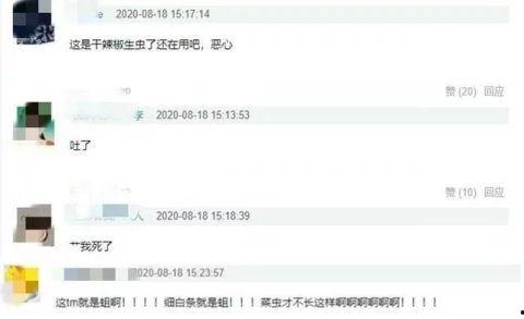 星兴诚最新爆料视频大全,揭秘娱乐圈幕后真相