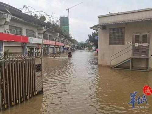 英德洪水爆料视频最新版,视频揭示惊人现场，救援行动紧张进行中